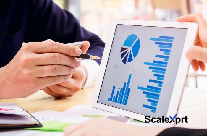 scalexprt How to grow business online