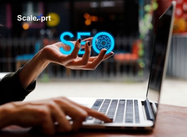 How Does SEO Help a Business Grow? How Does SEO Help a Business Grow?
