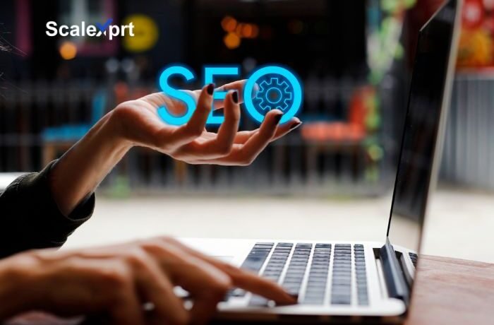 How Does SEO Help a Business Grow? How Does SEO Help a Business Grow?