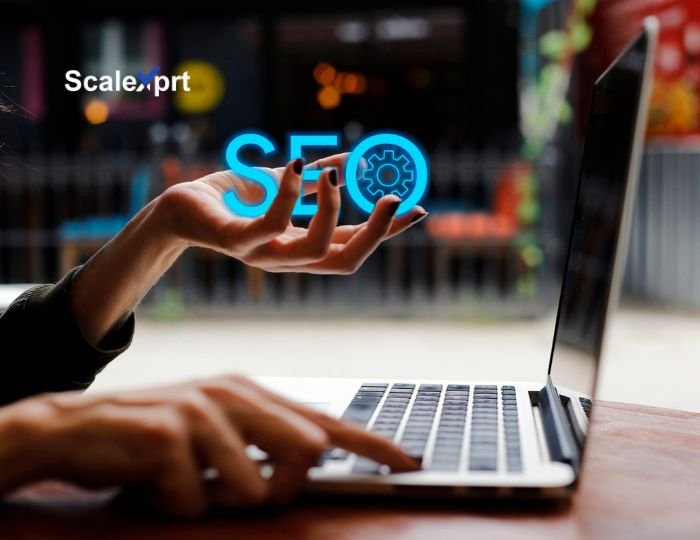How Does SEO Help a Business Grow?